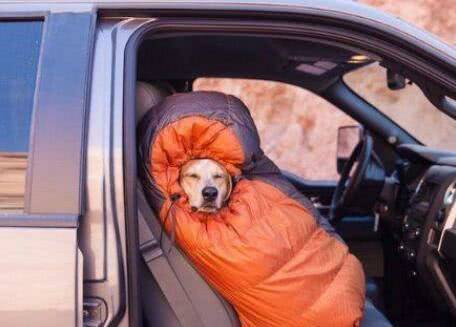 女朋友|搞笑GIF趣图：妹子，快回来，你的包好像忘拿了