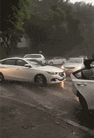 皮包|搞笑GIF趣图:美女，慢点跑，雨大路滑别摔跤了！