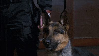 皮包|搞笑GIF趣图:美女，慢点跑，雨大路滑别摔跤了！