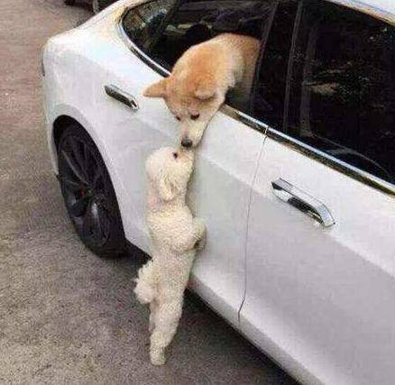 富商|原来那些大片硝烟弥漫的镜头，拍摄现场是这样搞出来的，真不容易呀！