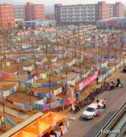 美女|搞笑段子：兄弟，我担心新娘的婚纱会被扯掉！