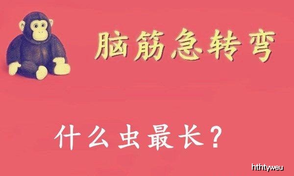 美女|搞笑段子：兄弟，我担心新娘的婚纱会被扯掉！