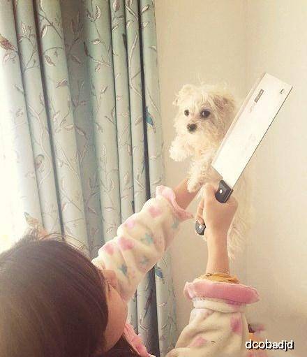 美女|搞笑段子：兄弟，我担心新娘的婚纱会被扯掉！