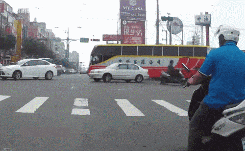 密码|“看什么看！再看把你炖了信不！”