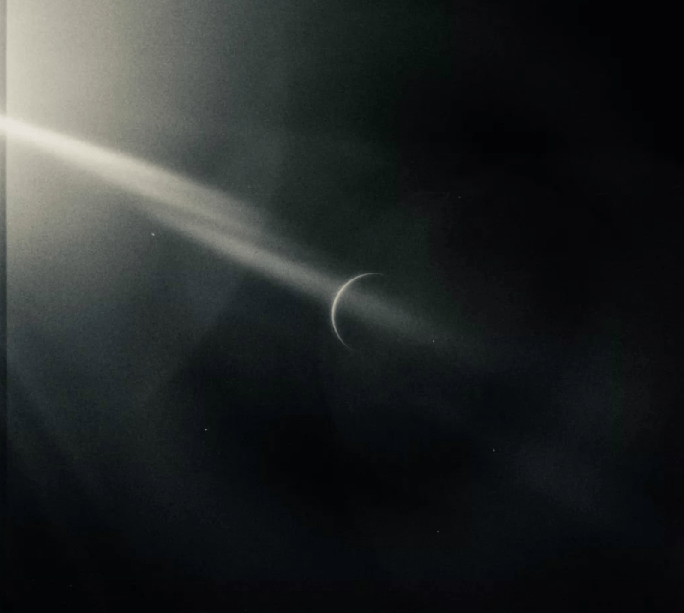 儿子|奔三的老阿姨还好意思过生日？