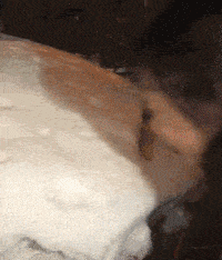 还是|偶遇一位抓娃娃大神，看来这一次收获满满啊