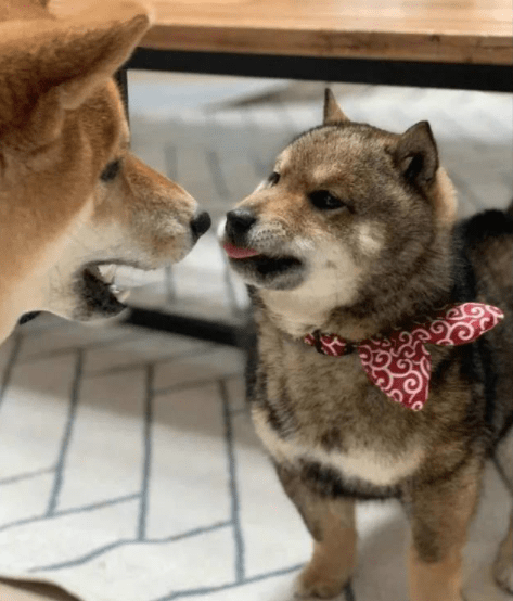 霍霍|这人素质极高,放个屁都用手兜着,生怕污染环境!