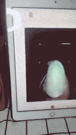 还是|偶遇一位抓娃娃大神，看来这一次收获满满啊