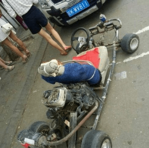 大雷|说了你们不信，回家路上捡到一头猪