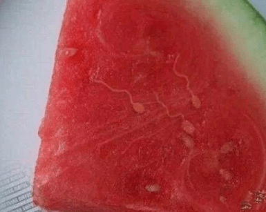 老师|妹子你这脸,是不是放鞭放多了