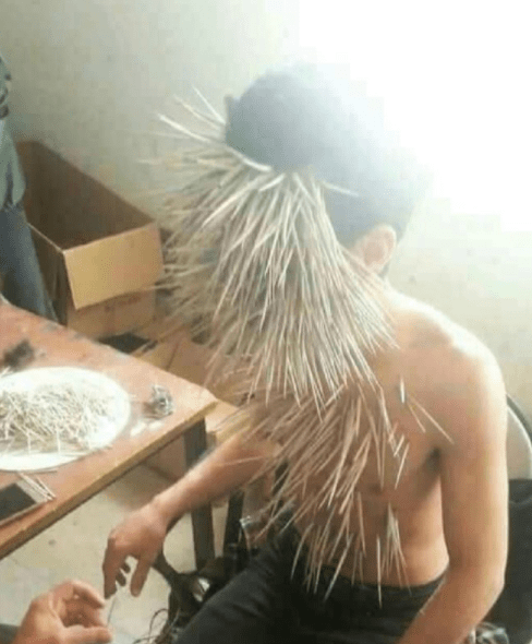 儿子|走的太快镜子没反应过来