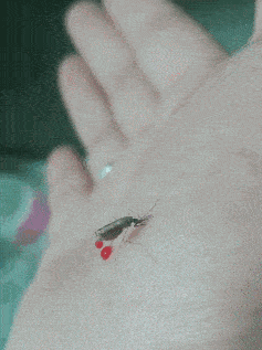 男朋友|不要成天想着网上的小姐姐了，她的背后至少有3个哥们