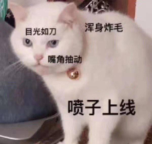 眼皮|幽默笑话:主人不挂科为大,我们的爱情算什么?