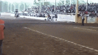 女友|搞笑GIF:能在湖面上跑那么远也是神人