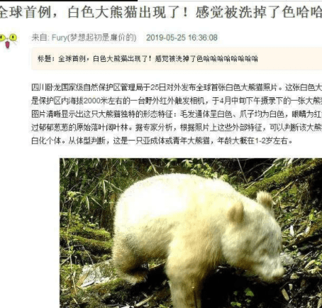 快递|丈母娘,我要的盐,你闺女都要买好几天才能到,唉!还怎么生活啊