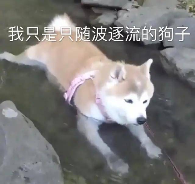 筷子|幽默笑话：发现一件很奇怪的事，老婆的力量在一天中的变化很大