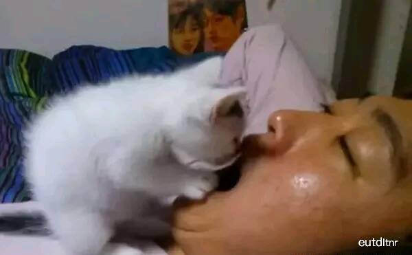 媳妇|搞笑段子:躲在厕所抽烟,教导主任一来,同学吓得鼻孔冒烟