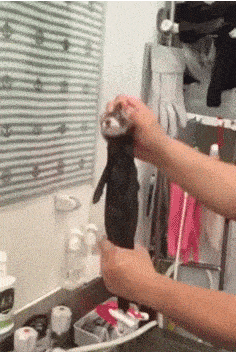 女友|搞笑GIF:能在湖面上跑那么远也是神人