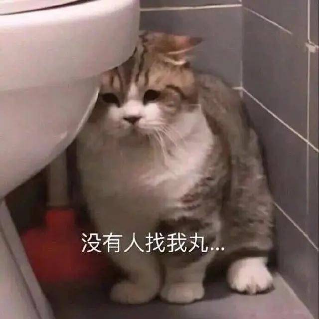 筷子|幽默笑话：发现一件很奇怪的事，老婆的力量在一天中的变化很大