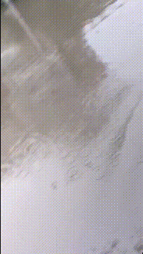 段子|爆笑GIF:	这种身材的妹子，我一般不敢招惹