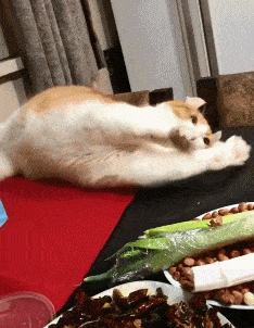 老弟|少年真的很会享受喝着奶，看着风景。