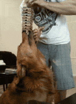 女友|搞笑GIF:能在湖面上跑那么远也是神人