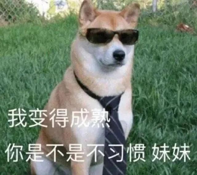 眼皮|幽默笑话:主人不挂科为大,我们的爱情算什么?