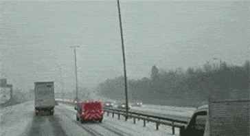 走法|你是猴子中的富二代吗