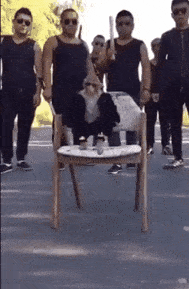 走法|你是猴子中的富二代吗