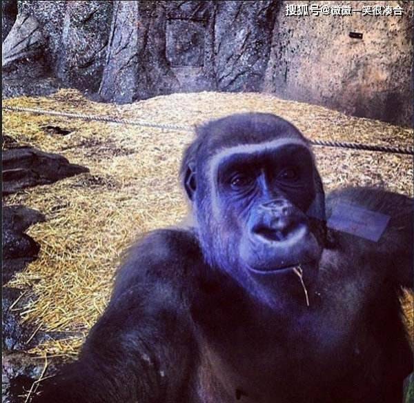 室友|大爷,您保持年轻的秘诀是什么