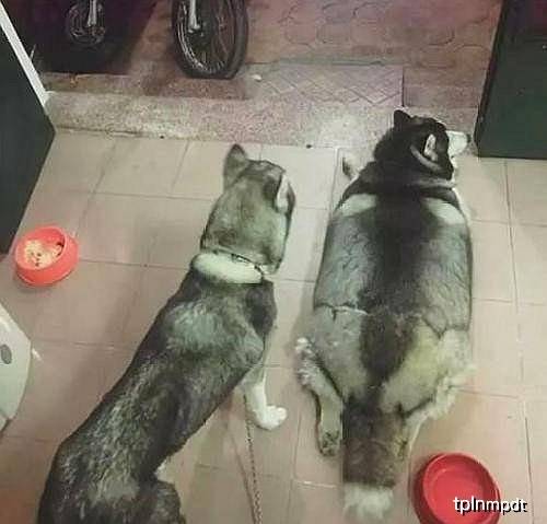 老师|幽默笑话:出门的时候忘记化妆了,快到公司的时候忽然想起……