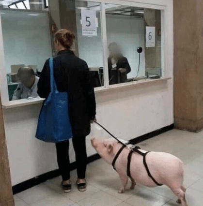 侄子|人狠话不多，社会哥