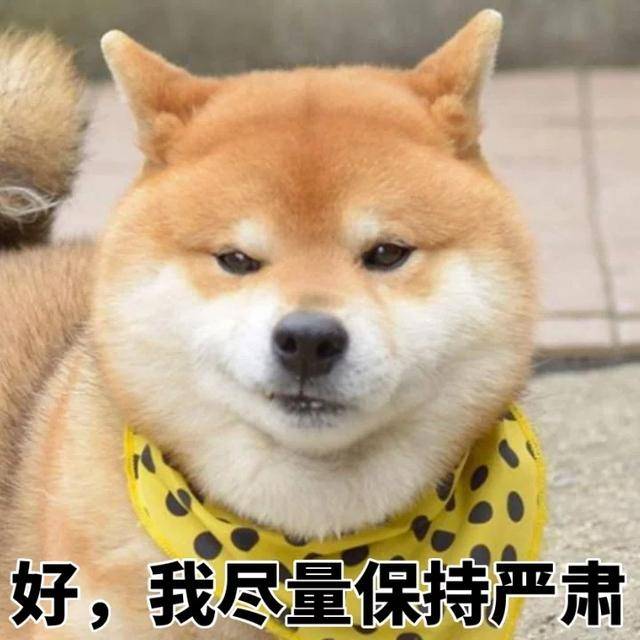 爆笑|爆笑斗图表情包20P