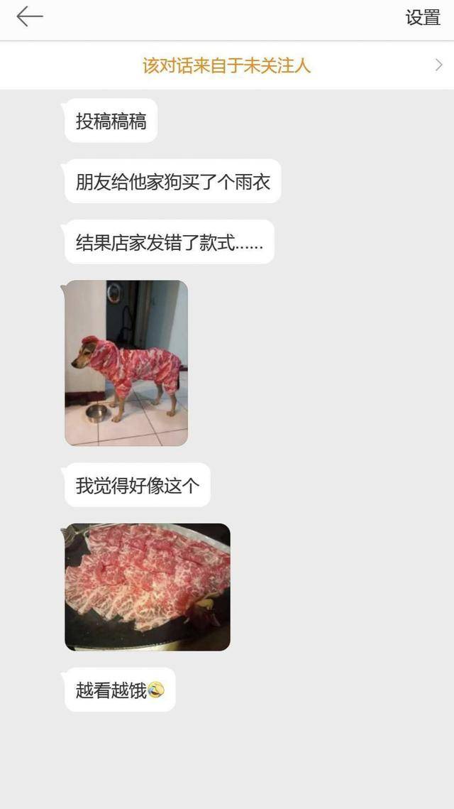 老公|十分钟后淡定叔终于输了