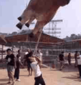 包子|妹子，你又听啥high歌呢？