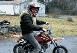 包子|妹子，你又听啥high歌呢？