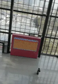 表嫂|说出来没人会相信,我曾经戏耍过老虎