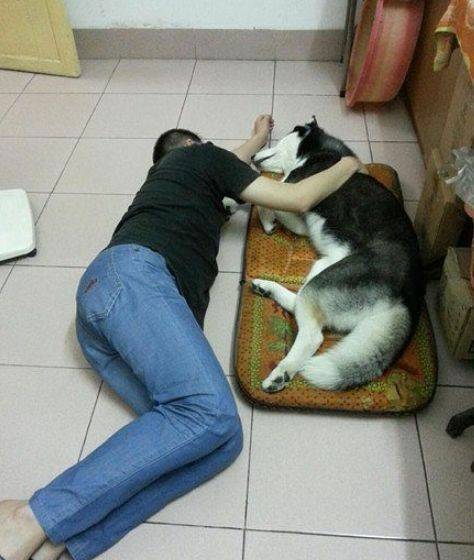 卫星|从家里床上睡觉的位置就知道家庭地位的悬殊了!