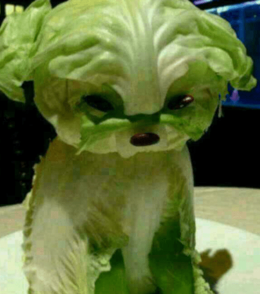 包子|妹子，你又听啥high歌呢？