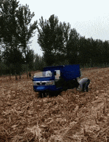 包子|妹子，你又听啥high歌呢？