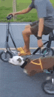 饮料|你们别在意哦，我就是想跳下广场舞！