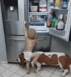 新郎|在家就可以玩过山车了