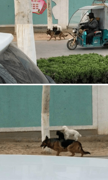 小明|看你们两这笑容,我就知道有猫腻