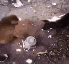 烟袋|刚刚一定什么都没有发生