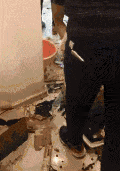 辣椒面|回到家以后变成了这样，二哈还能要吗？