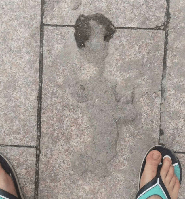 男孩|一天到晚这是干嘛呢？也不敢问…