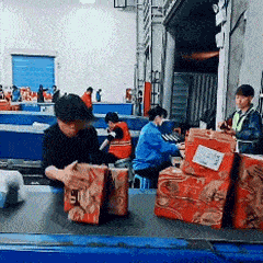 老婆|爆笑GIF：请收下我的膝盖，以后有你受的