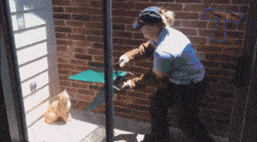 小弟|搞笑GIF：一瞬间，满飞机的马桶纸充满客舱