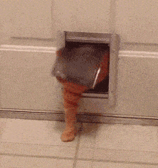 经理|搞笑段子:相亲一姑娘,见面后姑娘瞬间来了一句,你是来报仇的吧