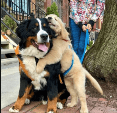 经理|搞笑段子:相亲一姑娘,见面后姑娘瞬间来了一句,你是来报仇的吧